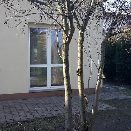 Hajduczek Apartment