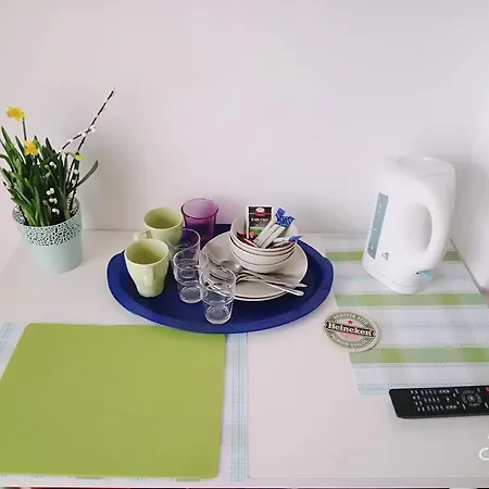 Hajduczek Apartment